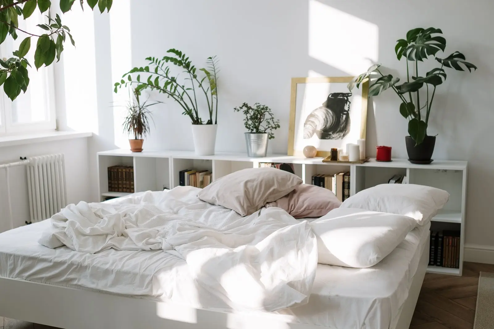 Phòng ngủ có giường chăn trắng và chậu cây xanh